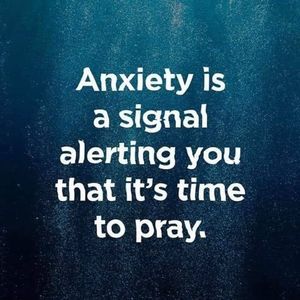 Meet your Posher, Kerry